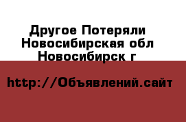 Другое Потеряли. Новосибирская обл.,Новосибирск г.